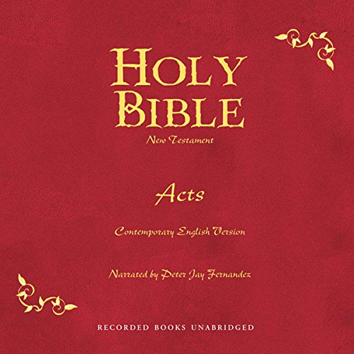 Holy Bible cover art