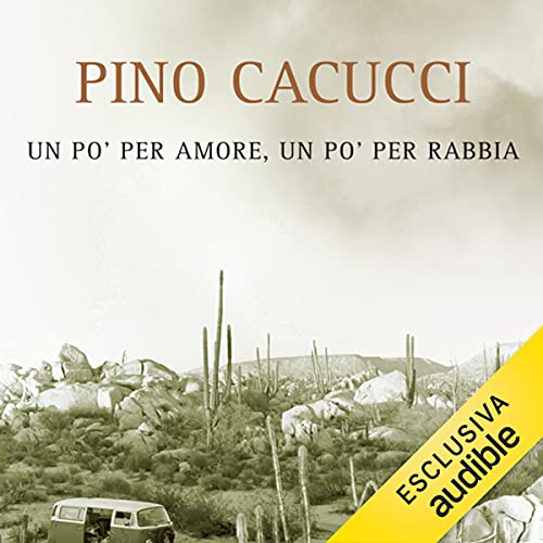 Un po' per amore, un po' per rabbia cover art