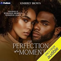 The Perfection of a Moment Audiolibro Por Kimberly Brown arte de portada