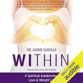 Within Audiobook By Dr. Habib Sadeghi cover art