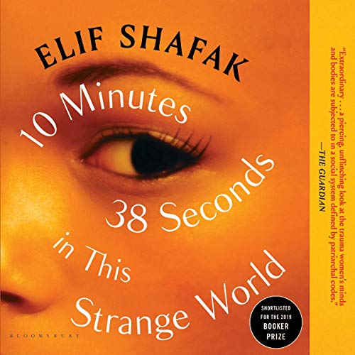 10 Minutes 38 Seconds in This Strange World cover art