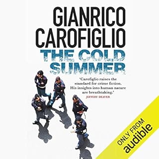 The Cold Summer Audiobook By Gianrico Carofiglio cover art