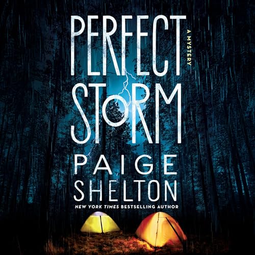 Perfect Storm cover art