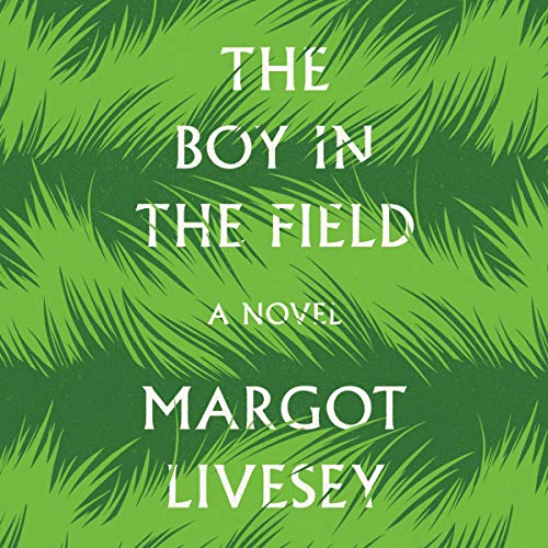 The Boy in the Field cover art