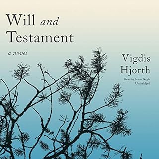 Will and Testament Audiolibro Por Vigdis Hjorth arte de portada