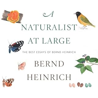 A Naturalist at Large Audiobook By Bernd Heinrich cover art