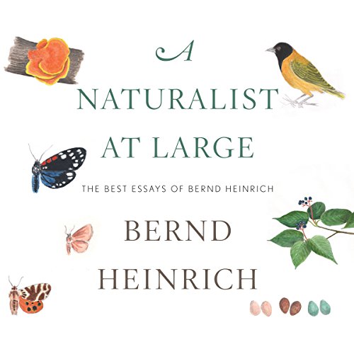 A Naturalist at Large Audiolibro Por Bernd Heinrich arte de portada