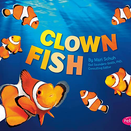 Clown Fish cover art