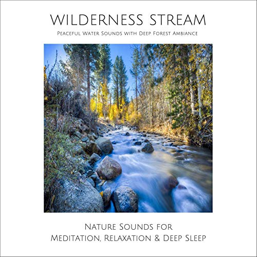 Wilderness Stream. Peaceful Water Sounds with Deep Forest Ambience Audiolibro Por Joe Hayworth arte de portada