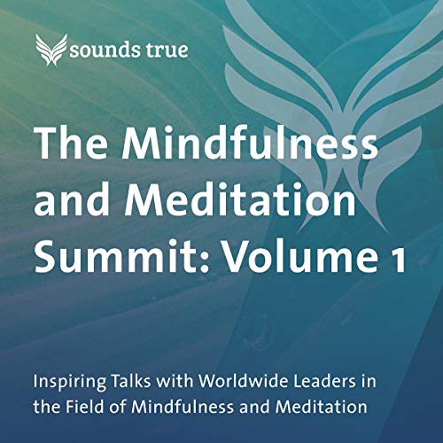 The Mindfulness and Meditation Summit: Volume 1 Audiolibro Por Jack Kornfield PhD, Alice Walker, Elisha Goldstein, Ruth King,