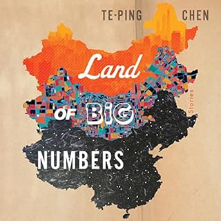 Land of Big Numbers Audiolibro Por Te-Ping Chen arte de portada