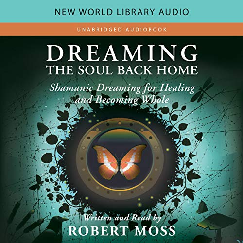 Dreaming the Soul Back Home cover art