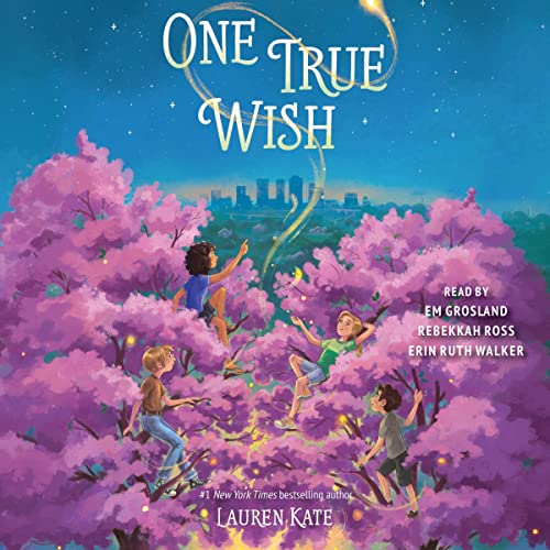 Couverture de One True Wish