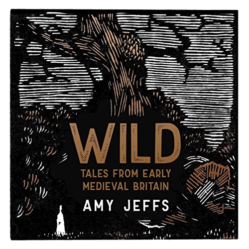 Wild Audiolivro Por Amy Jeffs capa