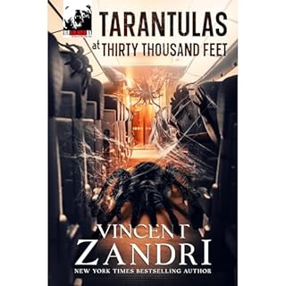 Tarantulas at Thirty Thousand Feet Audiolibro Por Vincent Zandri arte de portada