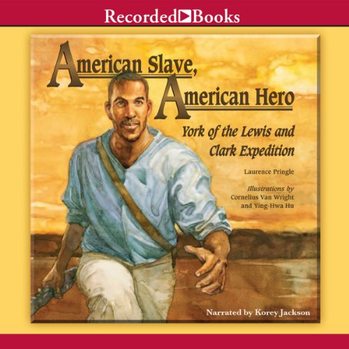 American Slave, American Hero cover art