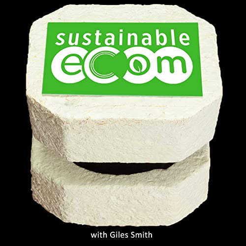 Sustainable Ecommerce cover art