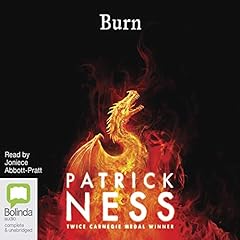 Burn cover art