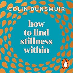 How to Find Stillness Within cover art