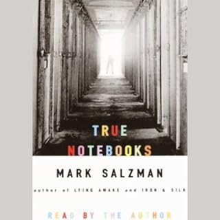 True Notebooks Audiobook By Mark Salzman cover art