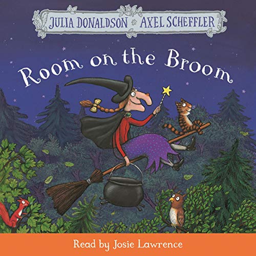 Couverture de Room on the Broom