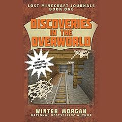 Discoveries in the Overworld Audiolibro Por Winter Morgan arte de portada