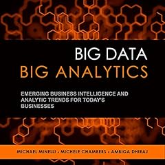 Big Data, Big Analytics cover art