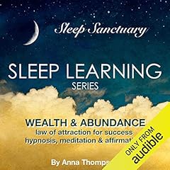 Wealth & Abundance: Law of Attraction for Success: Hypnosis, Meditation & Affirmations Audiobook By Anna Thompson cover art