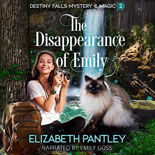 The Disappearance of Emily Audiolibro Por Elizabeth Pantley arte de portada