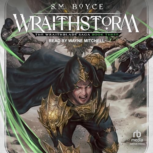 Wraithstorm Audiobook By S. M. Boyce cover art