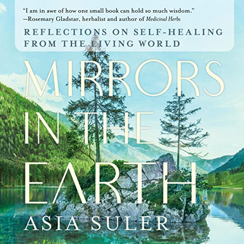 Page de couverture de Mirrors in the Earth