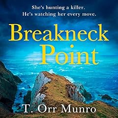 Breakneck Point cover art