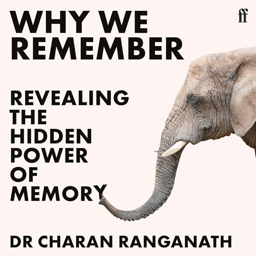 Why We Remember cover art