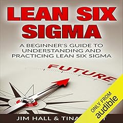 Lean Six Sigma cover art