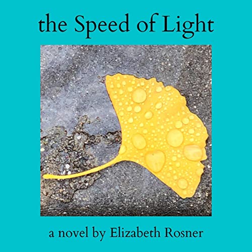 The Speed of Light Audiolibro Por Elizabeth Rosner arte de portada