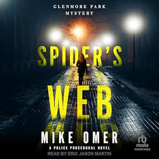 Spider's Web Audiolibro Por Mike Omer arte de portada