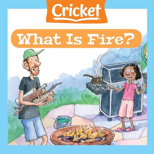 What Is Fire? Audiobook By Amy Tao cover art