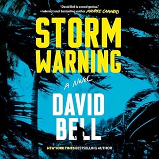 Storm Warning Audiolibro Por David Bell arte de portada