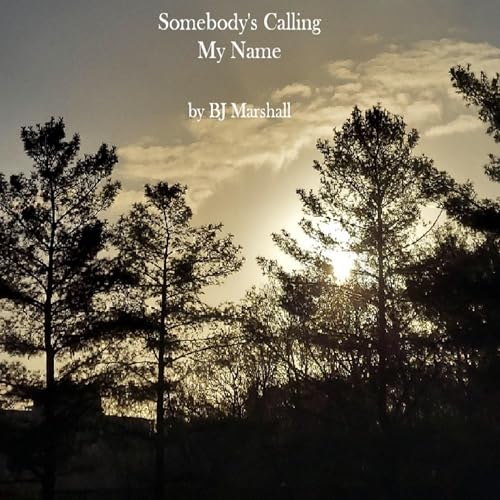 Somebody's Calling My Name Audiolivro Por BJ Marshall capa