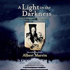 A Light in the Darkness cover art