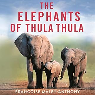 The Elephants of Thula Thula Audiobook By Françoise Malby-Anthony cover art