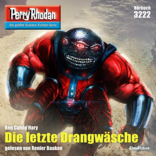 Die letzte Drangwäsche cover art