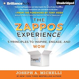 The Zappos Experience Audiobook By Joseph A. Michelli cover art