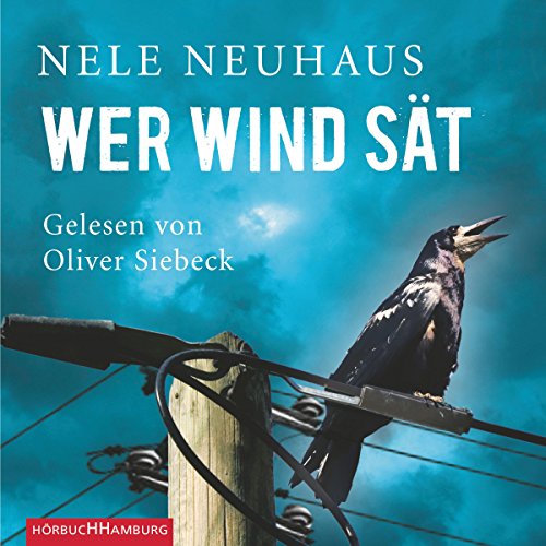 Wer Wind sät cover art