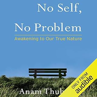 No Self, No Problem Audiobook By Anam Thubten, Sharon Roe - editor cover art