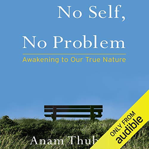 No Self, No Problem Audiobook By Anam Thubten, Sharon Roe - editor cover art