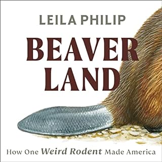 Beaverland Audiolibro Por Leila Philip arte de portada