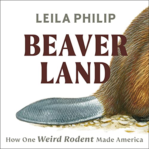 Beaverland Audiolibro Por Leila Philip arte de portada