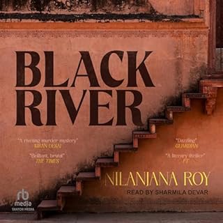 Black River Audiobook By Nilanjana Roy cover art