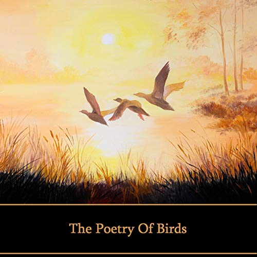 The Poetry of Birds cover art